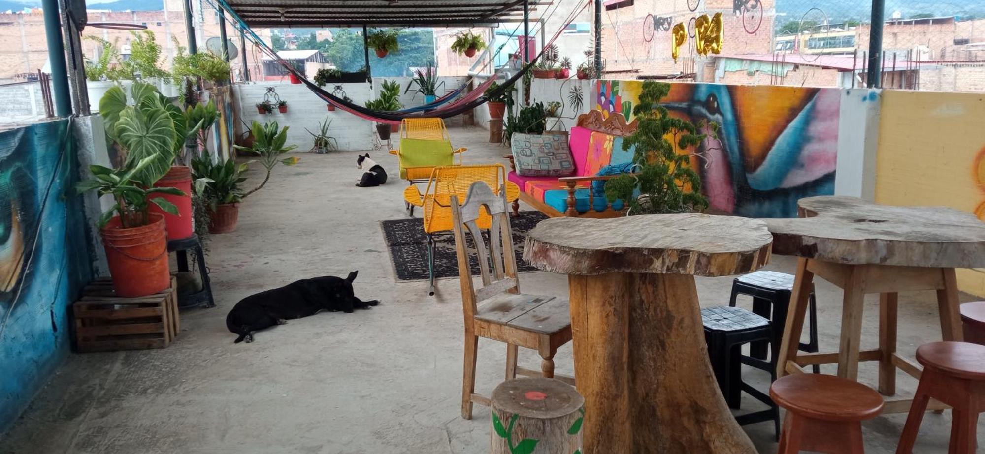 Shoffi'S House Backpackers Hotel Tarapoto Exterior photo